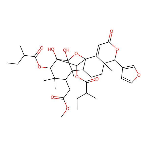 2D Structure of [(1R,6R,7R,10R,11S,12S,14S,15S,16R,18R)-6-(furan-3-yl)-15,16-dihydroxy-12-(2-methoxy-2-oxoethyl)-7,11,13,13-tetramethyl-18-[(2S)-2-methylbutanoyl]oxy-4-oxo-5,17-dioxapentacyclo[13.2.1.01,10.02,7.011,16]octadec-2-en-14-yl] (2S)-2-methylbutanoate