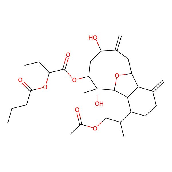 2D Structure of [6-(1-Acetyloxypropan-2-yl)-9,12-dihydroxy-9-methyl-3,13-dimethylidene-15-oxatricyclo[6.6.1.02,7]pentadecan-10-yl] 2-butanoyloxybutanoate