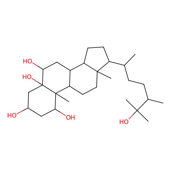 2D Structure of (1R,3S,5R,6R,8S,9S,10S,13R,14S,17R)-17-[(2R,5S)-6-hydroxy-5,6-dimethylheptan-2-yl]-10,13-dimethyl-1,2,3,4,6,7,8,9,11,12,14,15,16,17-tetradecahydrocyclopenta[a]phenanthrene-1,3,5,6-tetrol