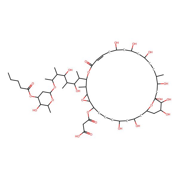 2D Structure of 3-[[(1R,3S,5R,9S,10S,12S,13R,14R,17E,20S,22R,24S,27R,28R,30S,31R,32S)-14-[(2S,3S,4R,5R,6R,7S)-3,5-dihydroxy-7-[(2R,4S,5R,6S)-5-hydroxy-6-methyl-4-pentanoyloxyoxan-2-yl]oxy-4,6-dimethyloctan-2-yl]-3,5,20,22,24,28,30,31,32-nonahydroxy-13,27-dimethyl-16-oxo-11,15,34-trioxatricyclo[28.3.1.010,12]tetratriacont-17-en-9-yl]oxy]-3-oxopropanoic acid