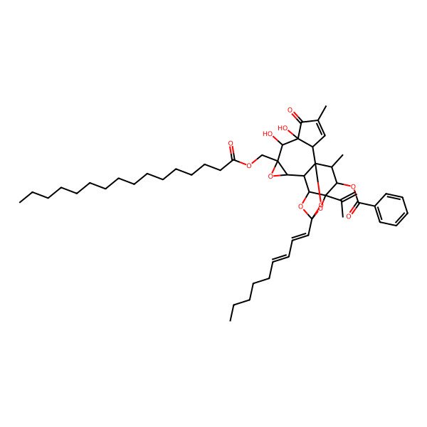 2D Structure of [(1R,2S,6S,7S,8S,10R,11S,12R,14S,16S,17S,18R)-8-(hexadecanoyloxymethyl)-6,7-dihydroxy-4,18-dimethyl-14-[(1E,3E)-nona-1,3-dienyl]-5-oxo-16-prop-1-en-2-yl-9,13,15,19-tetraoxahexacyclo[12.4.1.01,11.02,6.08,10.012,16]nonadec-3-en-17-yl] benzoate