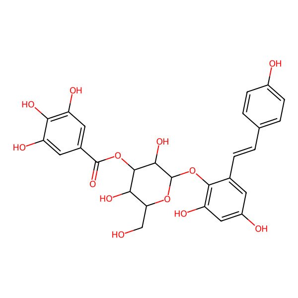 2D Structure of [(2S,3R,4S,5R,6R)-2-[2,4-dihydroxy-6-[(E)-2-(4-hydroxyphenyl)ethenyl]phenoxy]-3,5-dihydroxy-6-(hydroxymethyl)oxan-4-yl] 3,4,5-trihydroxybenzoate
