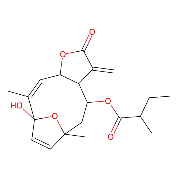 2D Structure of [(1S,2Z,4R,8R,9R,11R)-1-hydroxy-2,11-dimethyl-7-methylidene-6-oxo-5,14-dioxatricyclo[9.2.1.04,8]tetradeca-2,12-dien-9-yl] (2R)-2-methylbutanoate