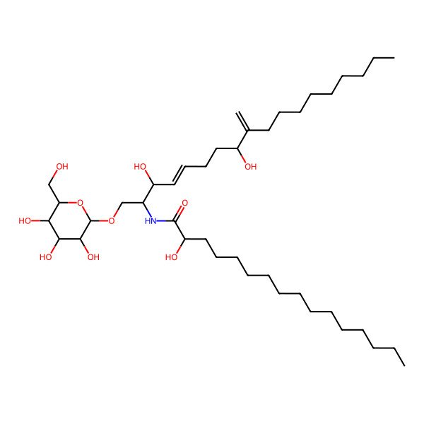 2D Structure of (2R)-N-[(E,2S,3R)-3,8-dihydroxy-9-methylidene-1-[3,4,5-trihydroxy-6-(hydroxymethyl)oxan-2-yl]oxyoctadec-4-en-2-yl]-2-hydroxyhexadecanamide