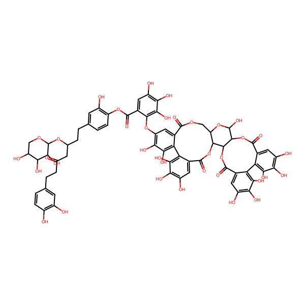2D Structure of [4-[(3S)-7-(3,4-dihydroxyphenyl)-5-oxo-3-[(2S,3R,4S,5R)-3,4,5-trihydroxyoxan-2-yl]oxyheptyl]-2-hydroxyphenyl] 2-[[(1R,2S,19R,20S,22R)-7,8,9,12,13,14,20,29,30,33,34,35-dodecahydroxy-4,17,25,38-tetraoxo-3,18,21,24,39-pentaoxaheptacyclo[20.17.0.02,19.05,10.011,16.026,31.032,37]nonatriaconta-5,7,9,11,13,15,26,28,30,32,34,36-dodecaen-28-yl]oxy]-3,4,5-trihydroxybenzoate