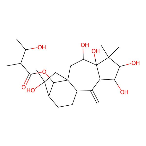 2D Structure of (3,4,6,7,14-Pentahydroxy-5,5,14-trimethyl-9-methylidene-16-tetracyclo[11.2.1.01,10.04,8]hexadecanyl) 3-hydroxy-2-methylbutanoate