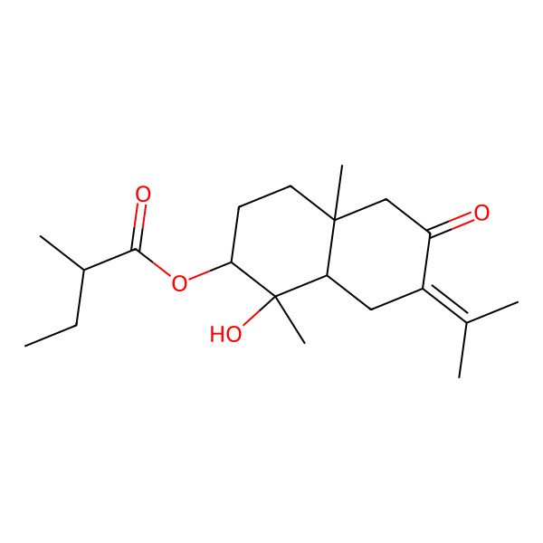 2D Structure of [(1S,2S,4aR,8aR)-1-hydroxy-1,4a-dimethyl-6-oxo-7-propan-2-ylidene-2,3,4,5,8,8a-hexahydronaphthalen-2-yl] (2R)-2-methylbutanoate