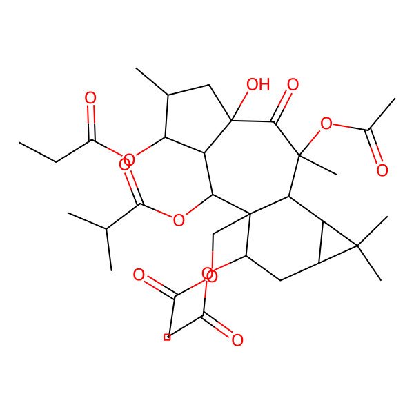 2D Structure of [9,15-Diacetyloxy-1-(acetyloxymethyl)-7-hydroxy-5,9,12,12-tetramethyl-8-oxo-4-propanoyloxy-2-tetracyclo[8.5.0.03,7.011,13]pentadecanyl] 2-methylpropanoate