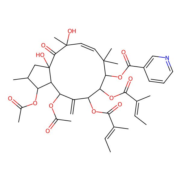 2D Structure of [(1S,2S,3aR,5R,6Z,9S,10S,11S,13R,13aR)-1,13-diacetyloxy-3a,5-dihydroxy-2,5,8,8-tetramethyl-10,11-bis[[(Z)-2-methylbut-2-enoyl]oxy]-12-methylidene-4-oxo-1,2,3,9,10,11,13,13a-octahydrocyclopenta[12]annulen-9-yl] pyridine-3-carboxylate