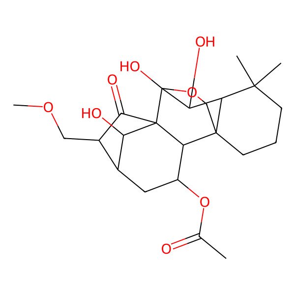 2D Structure of [(1S,2S,3S,5S,6R,8R,9S,10S,11R,18R)-9,10,18-trihydroxy-6-(methoxymethyl)-12,12-dimethyl-7-oxo-17-oxapentacyclo[7.6.2.15,8.01,11.02,8]octadecan-3-yl] acetate
