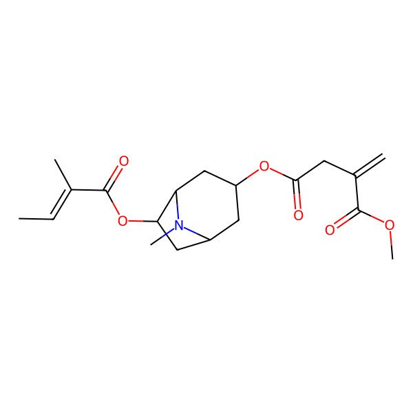 2D Structure of 1-O-methyl 4-O-[(3R,6R)-8-methyl-6-[(E)-2-methylbut-2-enoyl]oxy-8-azabicyclo[3.2.1]octan-3-yl] 2-methylidenebutanedioate