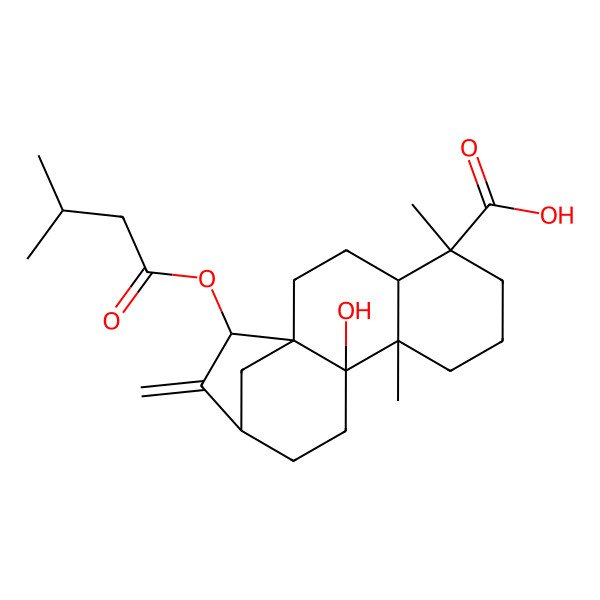 2D Structure of (1S,4S,5R,9R,10R,13R,15S)-10-hydroxy-5,9-dimethyl-15-(3-methylbutanoyloxy)-14-methylidenetetracyclo[11.2.1.01,10.04,9]hexadecane-5-carboxylic acid