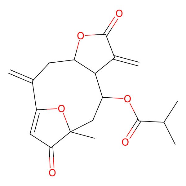 2D Structure of (11-Methyl-2,7-dimethylidene-6,12-dioxo-5,14-dioxatricyclo[9.2.1.04,8]tetradec-1(13)-en-9-yl) 2-methylpropanoate