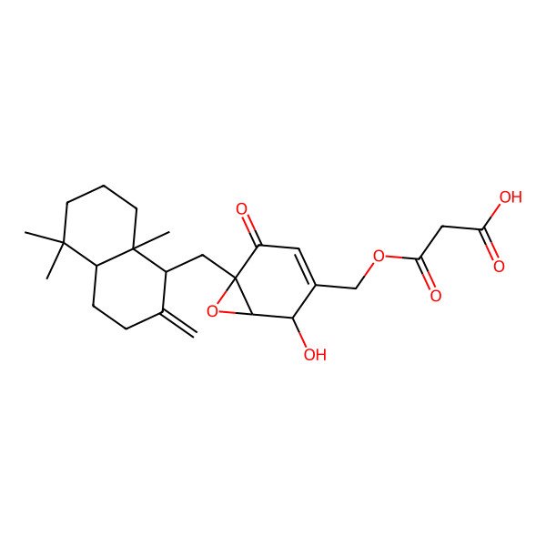 2D Structure of 3-[[6-[(5,5,8a-trimethyl-2-methylidene-3,4,4a,6,7,8-hexahydro-1H-naphthalen-1-yl)methyl]-2-hydroxy-5-oxo-7-oxabicyclo[4.1.0]hept-3-en-3-yl]methoxy]-3-oxopropanoic acid