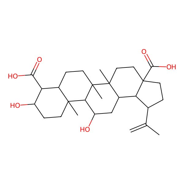 2D Structure of (1R,3aS,5aR,5bR,7aS,8S,9R,11aS,11bR,12R,13aR,13bR)-9,12-dihydroxy-5a,5b,11a-trimethyl-1-prop-1-en-2-yl-2,3,4,5,6,7,7a,8,9,10,11,11b,12,13,13a,13b-hexadecahydro-1H-cyclopenta[a]chrysene-3a,8-dicarboxylic acid