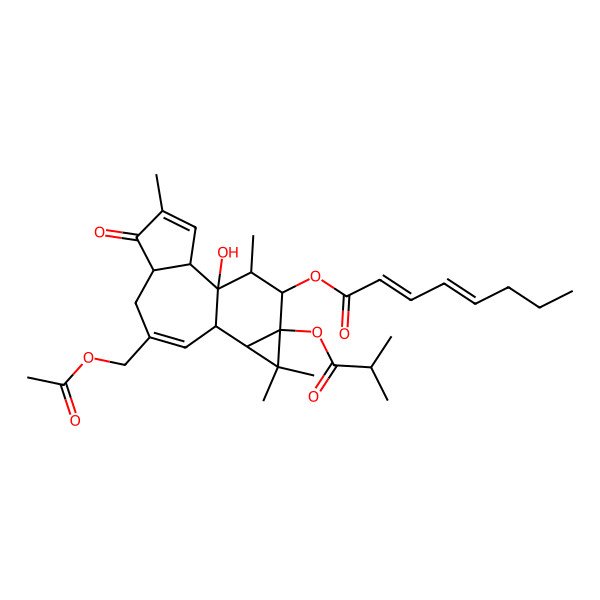 2D Structure of [(1S,2R,6S,10R,11S,13S,14S,15R)-8-(acetyloxymethyl)-1-hydroxy-4,12,12,15-tetramethyl-13-(2-methylpropanoyloxy)-5-oxo-14-tetracyclo[8.5.0.02,6.011,13]pentadeca-3,8-dienyl] (2Z,4E)-octa-2,4-dienoate