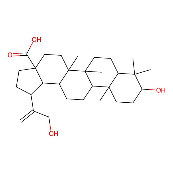 2D Structure of 9-Hydroxy-1-(3-hydroxyprop-1-en-2-yl)-5a,5b,8,8,11a-pentamethyl-1,2,3,4,5,6,7,7a,9,10,11,11b,12,13,13a,13b-hexadecahydrocyclopenta[a]chrysene-3a-carboxylic acid