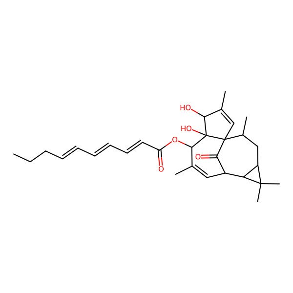 2D Structure of [(1R,4R,5S,6S,9R,10S,12S,14S)-4,5-dihydroxy-3,7,11,11,14-pentamethyl-15-oxo-6-tetracyclo[7.5.1.01,5.010,12]pentadeca-2,7-dienyl] (2E,4Z,6E)-deca-2,4,6-trienoate