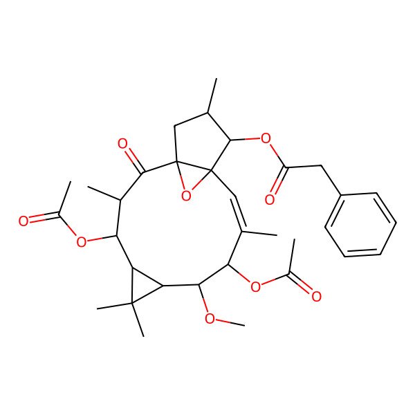 2D Structure of [(1R,3R,4R,5R,7S,8S,9R,10E,12S,13S,14S)-4,9-diacetyloxy-8-methoxy-3,6,6,10,14-pentamethyl-2-oxo-16-oxatetracyclo[10.3.1.01,12.05,7]hexadec-10-en-13-yl] 2-phenylacetate