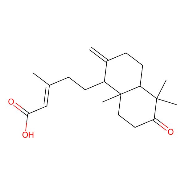 2D Structure of 5-(5,5,8a-Trimethyl-2-methylidene-6-oxo-1,3,4,4a,7,8-hexahydronaphthalen-1-yl)-3-methylpent-2-enoic acid