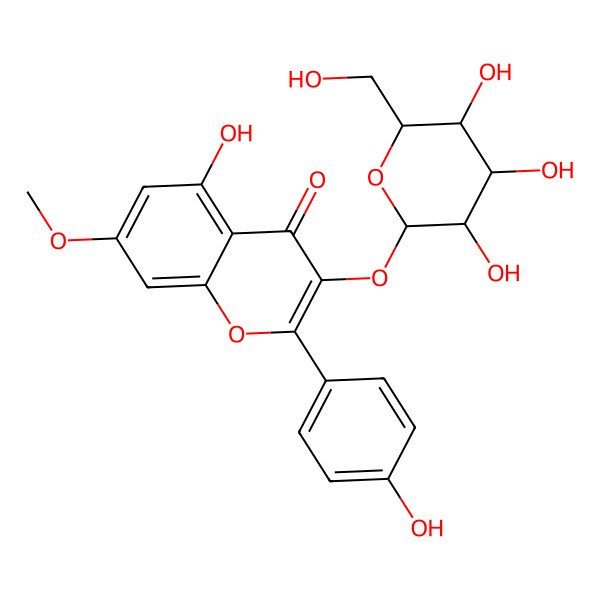 2D Structure of 5-hydroxy-2-(4-hydroxyphenyl)-7-methoxy-3-[(2S,3R,4R,5S,6R)-3,4,5-trihydroxy-6-(hydroxymethyl)oxan-2-yl]oxychromen-4-one