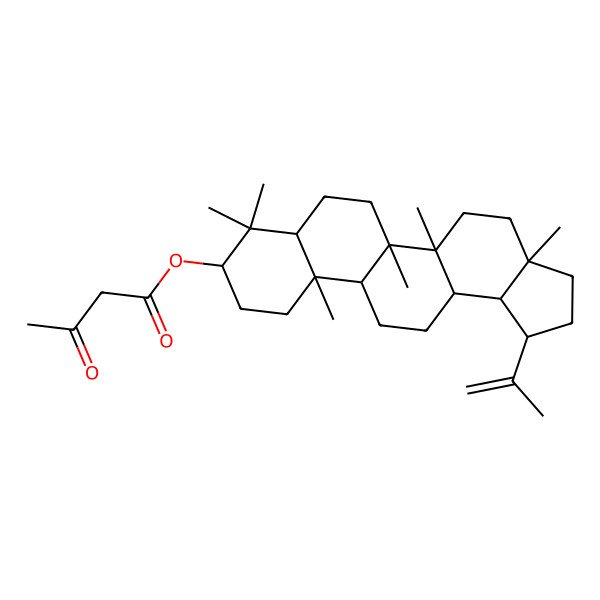 2D Structure of [(1R,3aR,5aR,5bR,7aR,9S,11aR,11bR,13aR,13bR)-3a,5a,5b,8,8,11a-hexamethyl-1-prop-1-en-2-yl-1,2,3,4,5,6,7,7a,9,10,11,11b,12,13,13a,13b-hexadecahydrocyclopenta[a]chrysen-9-yl] 3-oxobutanoate