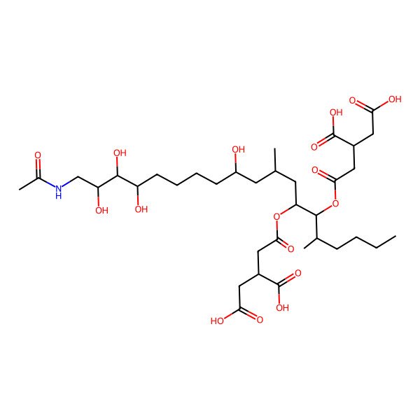 2D Structure of 2-[2-[19-Acetamido-6-(3,4-dicarboxybutanoyloxy)-11,16,17,18-tetrahydroxy-5,9-dimethylnonadecan-7-yl]oxy-2-oxoethyl]butanedioic acid