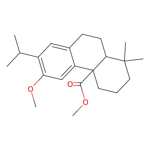 2D Structure of methyl (4aR,10aR)-6-methoxy-1,1-dimethyl-7-propan-2-yl-2,3,4,9,10,10a-hexahydrophenanthrene-4a-carboxylate