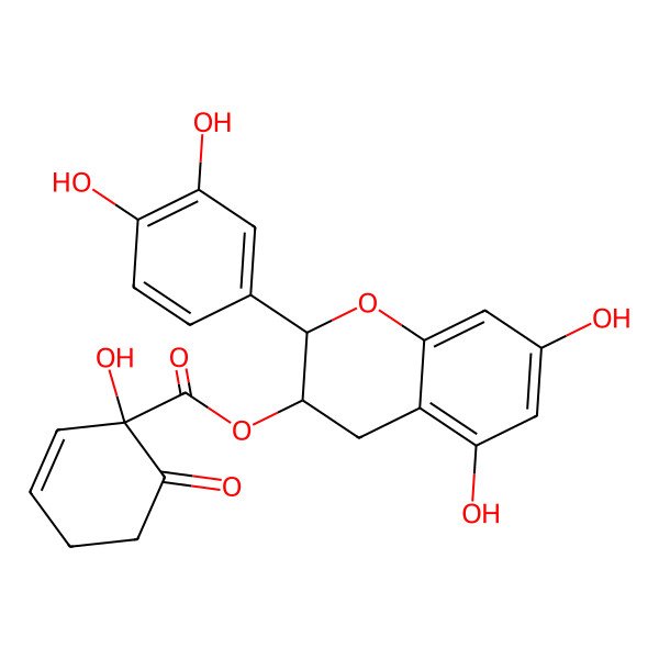 2D Structure of [2-(3,4-dihydroxyphenyl)-5,7-dihydroxy-3,4-dihydro-2H-chromen-3-yl] 1-hydroxy-6-oxocyclohex-2-ene-1-carboxylate