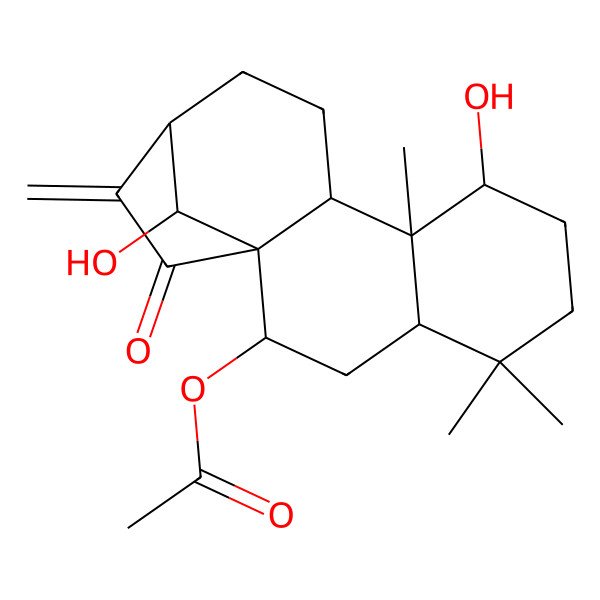 2D Structure of (8,16-Dihydroxy-5,5,9-trimethyl-14-methylidene-15-oxo-2-tetracyclo[11.2.1.01,10.04,9]hexadecanyl) acetate