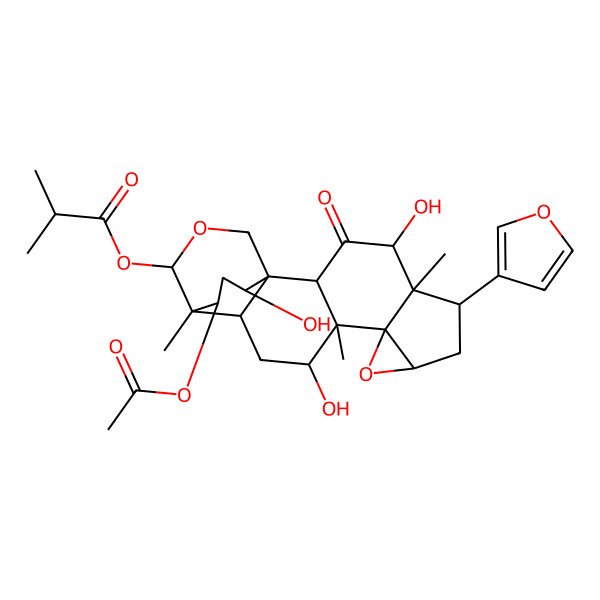 2D Structure of [(1S,2R,4R,5R,6S,8R,10R,11S,12R,14R,15R,16S,19S,21R)-21-acetyloxy-6-(furan-3-yl)-4,12,19-trihydroxy-5,11,15-trimethyl-3-oxo-9,17-dioxahexacyclo[13.3.3.01,14.02,11.05,10.08,10]henicosan-16-yl] 2-methylpropanoate