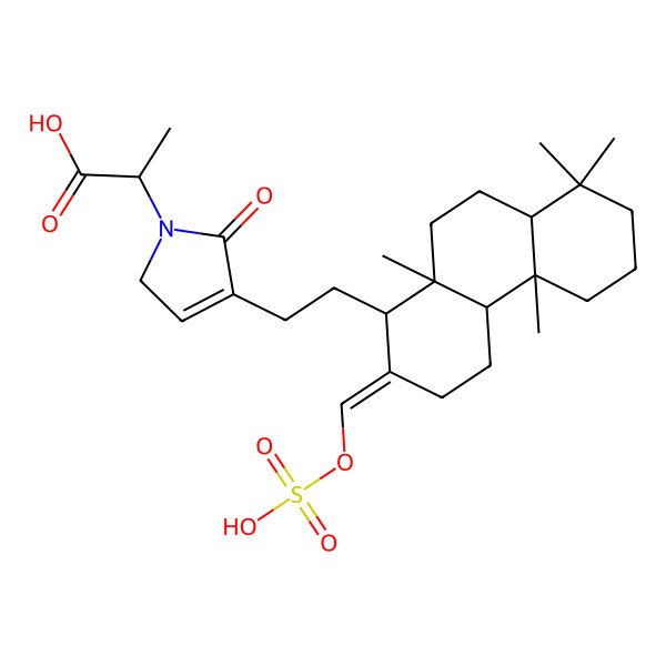 2D Structure of (2R)-2-[4-[2-[(1R,2E,4aR,4bS,8aS,10aS)-4b,8,8,10a-tetramethyl-2-(sulfooxymethylidene)-1,3,4,4a,5,6,7,8a,9,10-decahydrophenanthren-1-yl]ethyl]-5-oxo-2H-pyrrol-1-yl]propanoic acid
