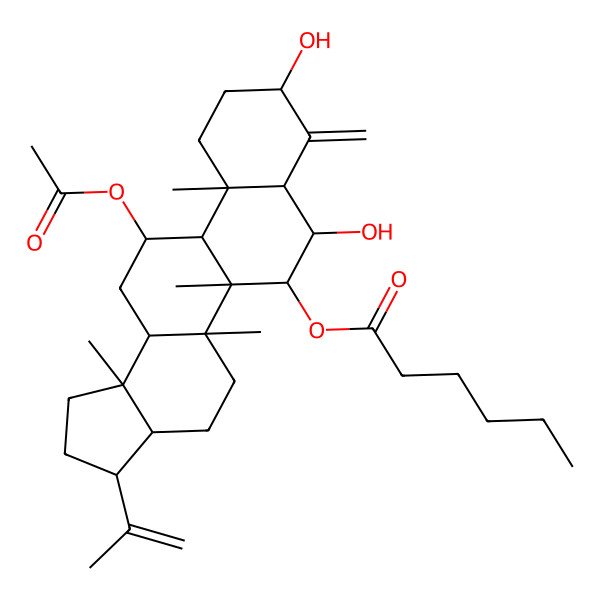 2D Structure of [(3R,3aS,5aR,5bR,6R,7S,7aR,9S,11aS,11bR,12R,13aR,13bS)-12-acetyloxy-7,9-dihydroxy-5a,5b,11a,13b-tetramethyl-8-methylidene-3-prop-1-en-2-yl-1,2,3,3a,4,5,6,7,7a,9,10,11,11b,12,13,13a-hexadecahydrocyclopenta[a]chrysen-6-yl] hexanoate
