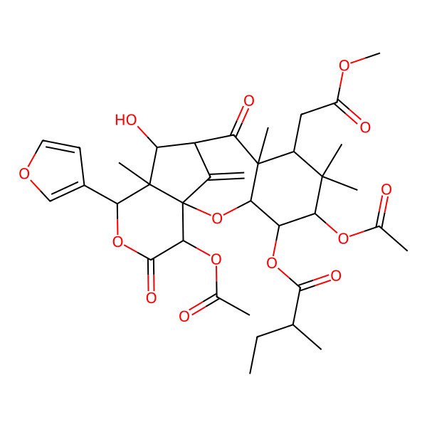 2D Structure of [(1S,3R,4R,5R,7S,8R,10R,11S,12S,13S,16S)-5,16-diacetyloxy-13-(furan-3-yl)-11-hydroxy-7-(2-methoxy-2-oxoethyl)-6,6,8,12-tetramethyl-17-methylidene-9,15-dioxo-2,14-dioxatetracyclo[8.6.1.01,12.03,8]heptadecan-4-yl] (2R)-2-methylbutanoate