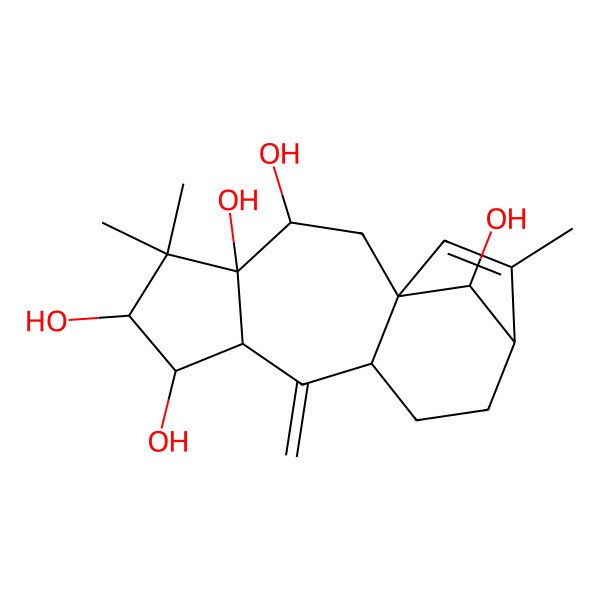 2D Structure of (1R,3R,4R,6R,7R,8R,10S,16S)-5,5,14-trimethyl-9-methylidenetetracyclo[11.2.1.01,10.04,8]hexadec-14-ene-3,4,6,7,16-pentol
