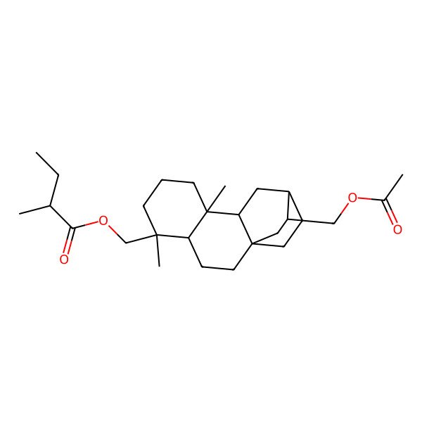2D Structure of [(1R,4S,5R,9S,10R,12S,13R)-13-(acetyloxymethyl)-5,9-dimethyl-5-tetracyclo[10.2.2.01,10.04,9]hexadecanyl]methyl (2R)-2-methylbutanoate