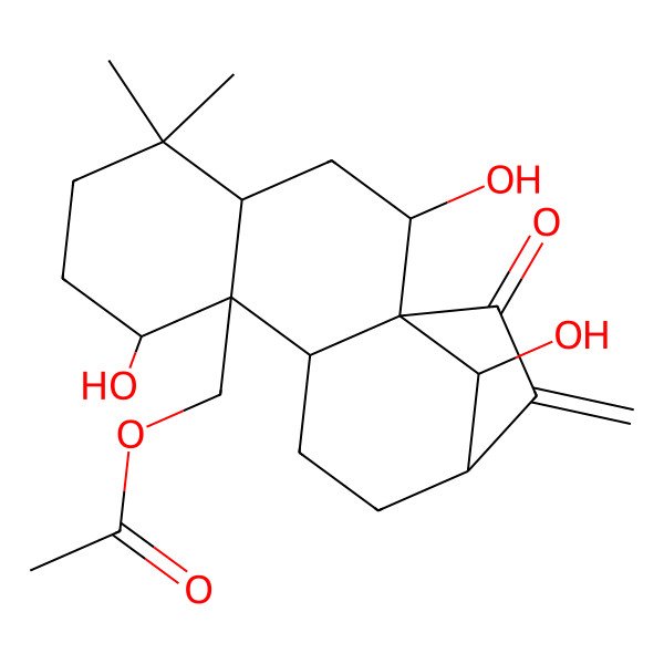 2D Structure of [(1R,2R,4R,8S,9R,10S,13R,16R)-2,8,16-trihydroxy-5,5-dimethyl-14-methylidene-15-oxo-9-tetracyclo[11.2.1.01,10.04,9]hexadecanyl]methyl acetate
