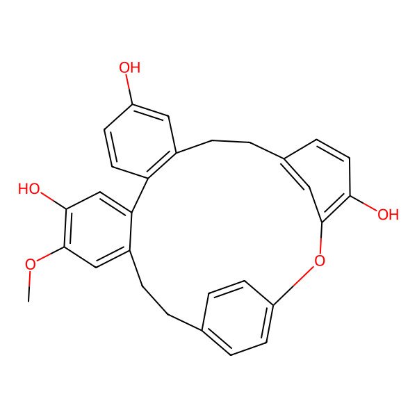 2D Structure of 19-Methoxy-2-oxapentacyclo[22.2.2.13,7.010,15.016,21]nonacosa-1(26),3,5,7(29),10(15),11,13,16,18,20,24,27-dodecaene-4,12,18-triol
