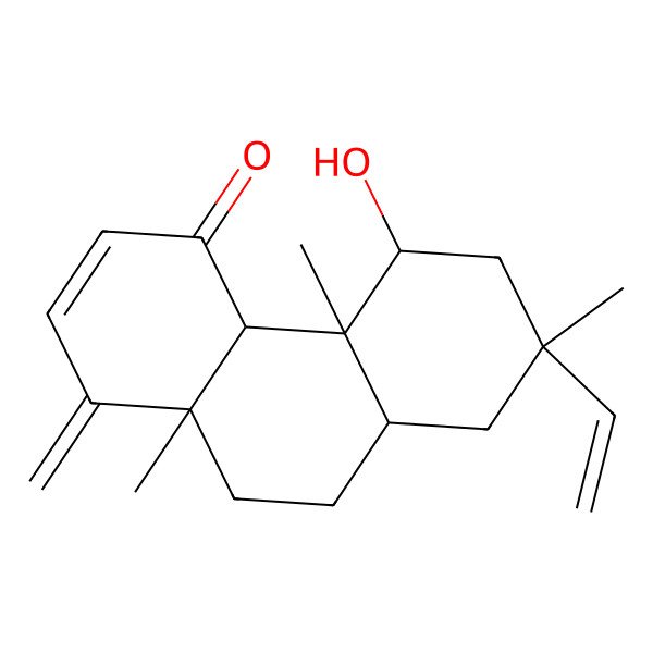 2D Structure of (4aR,4bR,5S,7S,8aR,10aS)-7-ethenyl-5-hydroxy-4b,7,10a-trimethyl-1-methylidene-5,6,8,8a,9,10-hexahydro-4aH-phenanthren-4-one 2D Structure of (4aR,4bR,5S,7S,8aR,10aS)-7-ethenyl-5-hydroxy-4b,7,10a-trimethyl-1-methylidene-5,6,8,8a,9,10-hexahydro-4aH-phenanthren-4-one