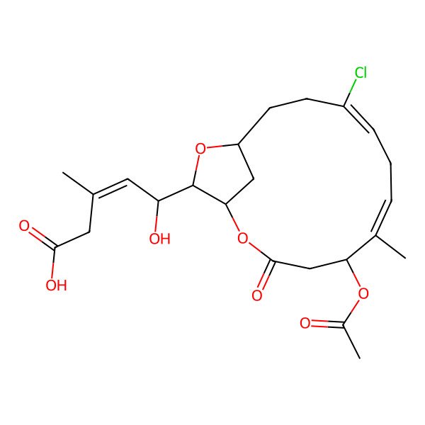 2D Structure of (E,5R)-5-[(1R,5R,6E,9Z,13R,15R)-5-acetyloxy-10-chloro-6-methyl-3-oxo-2,14-dioxabicyclo[11.2.1]hexadeca-6,9-dien-15-yl]-5-hydroxy-3-methylpent-3-enoic acid