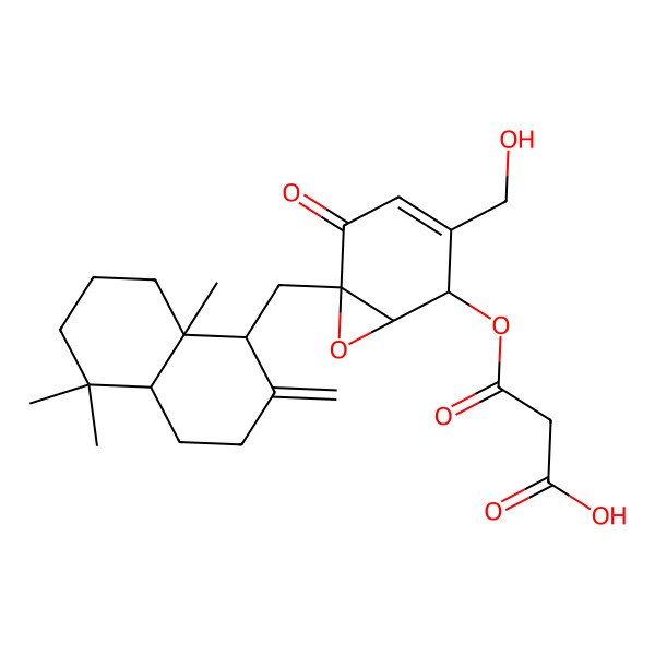 2D Structure of 3-[[6-[(5,5,8a-trimethyl-2-methylidene-3,4,4a,6,7,8-hexahydro-1H-naphthalen-1-yl)methyl]-3-(hydroxymethyl)-5-oxo-7-oxabicyclo[4.1.0]hept-3-en-2-yl]oxy]-3-oxopropanoic acid