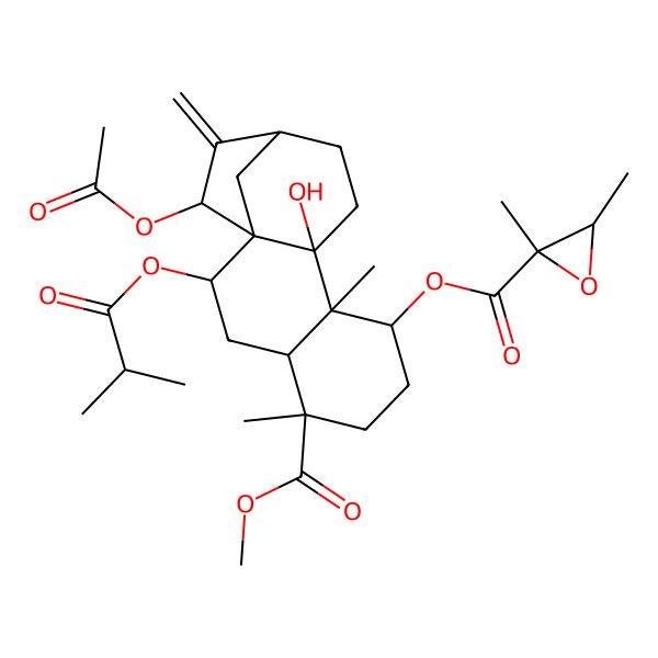 2D Structure of [15-Acetyloxy-10-hydroxy-5-methoxycarbonyl-5,9-dimethyl-14-methylidene-2-(2-methylpropanoyloxy)-8-tetracyclo[11.2.1.01,10.04,9]hexadecanyl] 2,3-dimethyloxirane-2-carboxylate