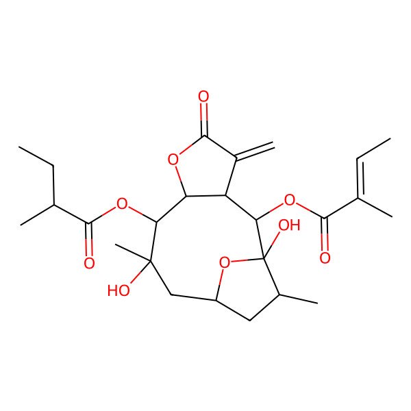 2D Structure of [(1R,2S,3R,7R,8S,9R,11S,13S)-1,9-dihydroxy-9,13-dimethyl-2-[(E)-2-methylbut-2-enoyl]oxy-4-methylidene-5-oxo-6,14-dioxatricyclo[9.2.1.03,7]tetradecan-8-yl] (2R)-2-methylbutanoate