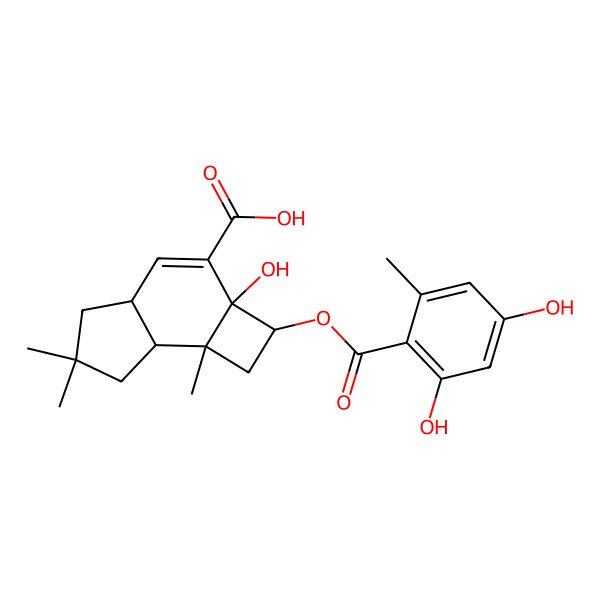 2D Structure of (2R,2aS,4aR,7aS,7bR)-2-(2,4-dihydroxy-6-methylbenzoyl)oxy-2a-hydroxy-6,6,7b-trimethyl-1,2,4a,5,7,7a-hexahydrocyclobuta[e]indene-3-carboxylic acid