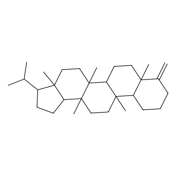 2D Structure of 3a,5a,7a,11b,13a-pentamethyl-8-methylidene-3-propan-2-yl-2,3,4,5,5b,6,7,9,10,11,11a,12,13,13b-tetradecahydro-1H-cyclopenta[a]chrysene