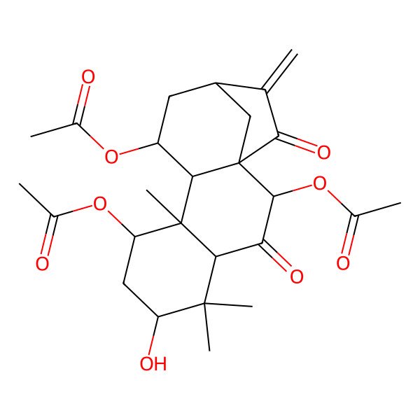 2D Structure of (2,8-Diacetyloxy-6-hydroxy-5,5,9-trimethyl-14-methylidene-3,15-dioxo-11-tetracyclo[11.2.1.01,10.04,9]hexadecanyl) acetate