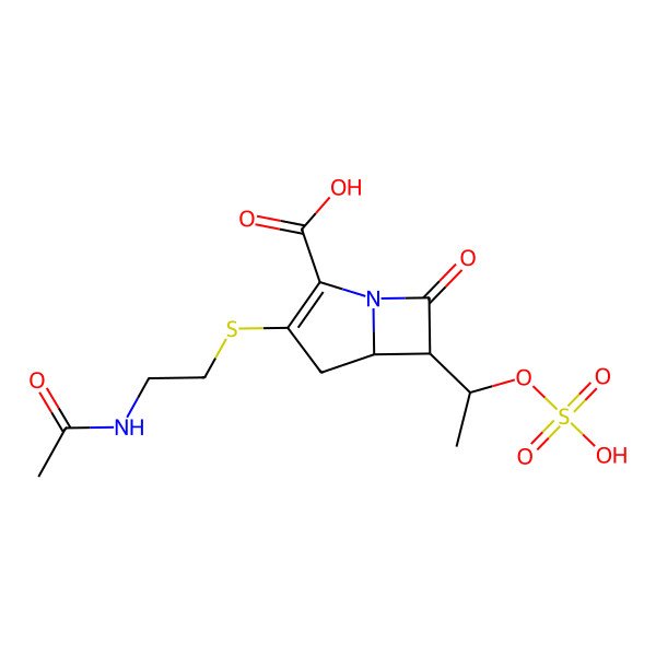 2D Structure of 3-(2-Acetamidoethylsulfanyl)-7-oxo-6-(1-sulfooxyethyl)-1-azabicyclo[3.2.0]hept-2-ene-2-carboxylic acid