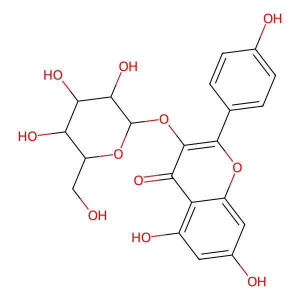 2D Structure of 5,7-dihydroxy-2-(4-hydroxyphenyl)-3-[(2R,3R,4S,5R,6S)-3,4,5-trihydroxy-6-(hydroxymethyl)oxan-2-yl]oxychromen-4-one