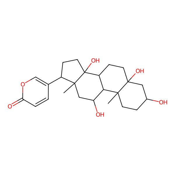 2D Structure of 5-[(3R,5S,8R,9S,10R,11R,13R,14S,17R)-3,5,11,14-tetrahydroxy-10,13-dimethyl-2,3,4,6,7,8,9,11,12,15,16,17-dodecahydro-1H-cyclopenta[a]phenanthren-17-yl]pyran-2-one