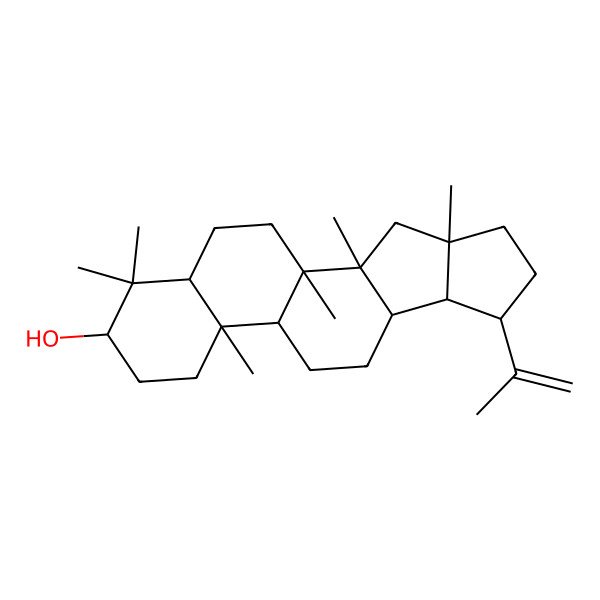2D Structure of (1R,2R,4R,7R,8R,9R,12R,13R,16S,18R)-1,2,4,13,17,17-hexamethyl-7-prop-1-en-2-ylpentacyclo[10.8.0.02,9.04,8.013,18]icosan-16-ol